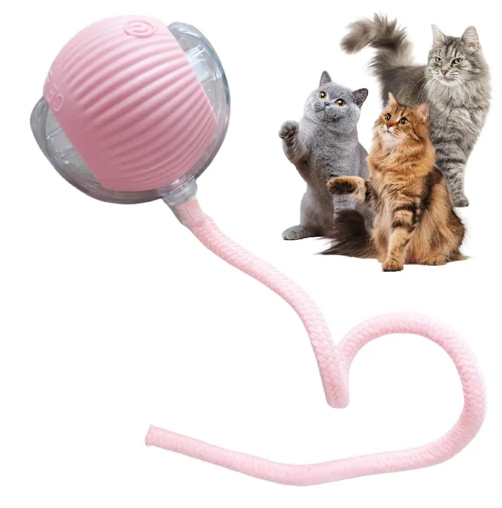USB Rechargeable Smart Rolling Cat Ball Toy with Tail Lamp – Interactive Automatic Motion Toy for Cats & Small Dogs