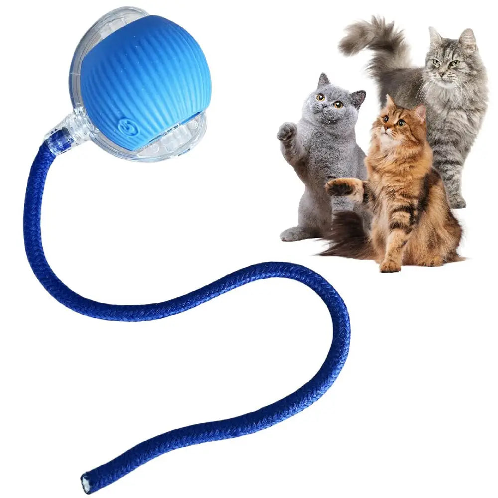 USB Rechargeable Smart Rolling Cat Ball Toy with Tail Lamp – Interactive Automatic Motion Toy for Cats & Small Dogs
