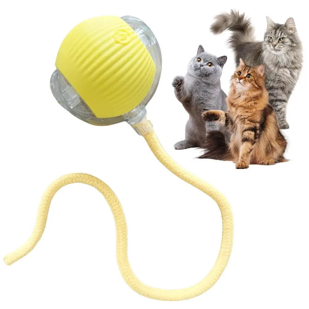 USB Rechargeable Smart Rolling Cat Ball Toy with Tail Lamp – Interactive Automatic Motion Toy for Cats & Small Dogs