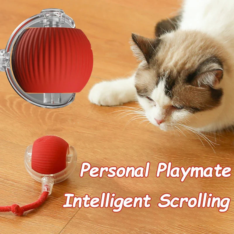 Interactive Automatic Rolling Ball Toy for Cats and Dogs, Rechargeable Smart Pet Toy with Faux Tail