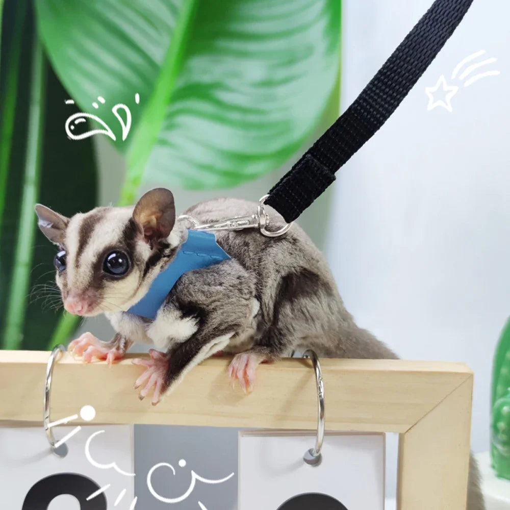 4-Pack Escape-Proof Adjustable Small Animal Harness & Leash Set — Hamsters, Sugar Gliders, Squirrels