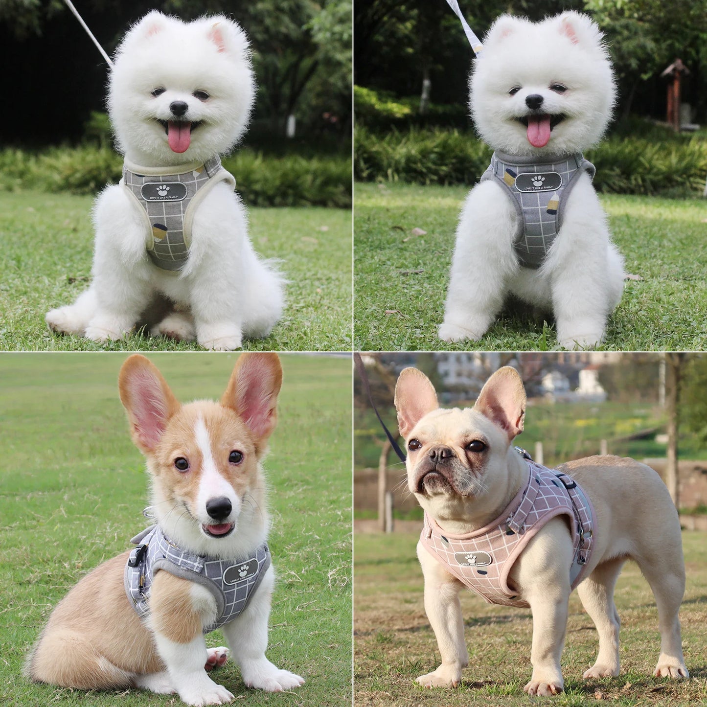Adjustable Breathable Pet Harness with Reflective Leash for Puppies, Small Dogs & Cats