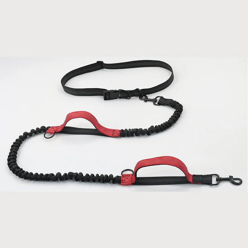 Double Elastic Reflective Hands-Free Running Dog Leash — Retractable Bungee Waist Lead 160–260 cm (63–102 in), Waist 70–120 cm (27–47 in)