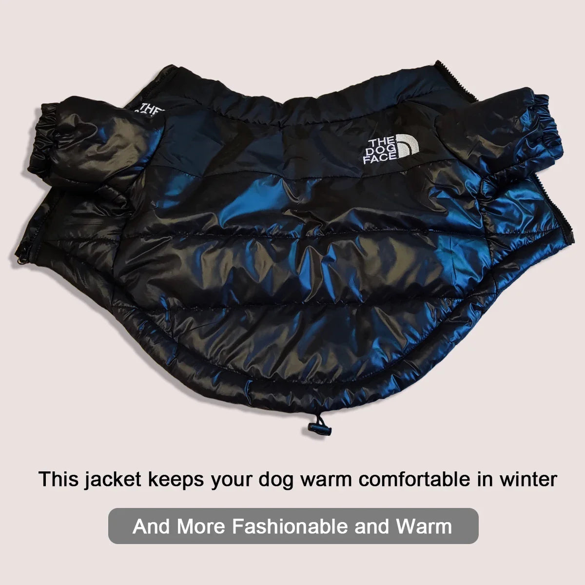 Windproof Winter Dog Jacket Padded Reflective Coat for Puppy, Small/Medium/Large Dogs (XS-3XL)