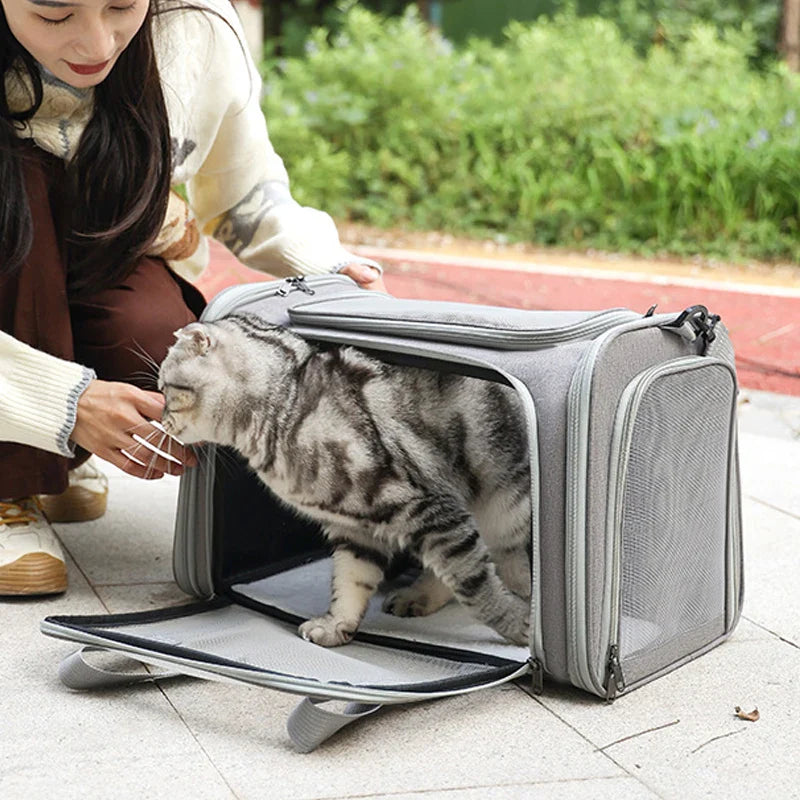 Portable Soft-Sided Pet Carrier Backpack for Dogs & Cats — Airline Approved, Foldable Nylon (M/L/XL)