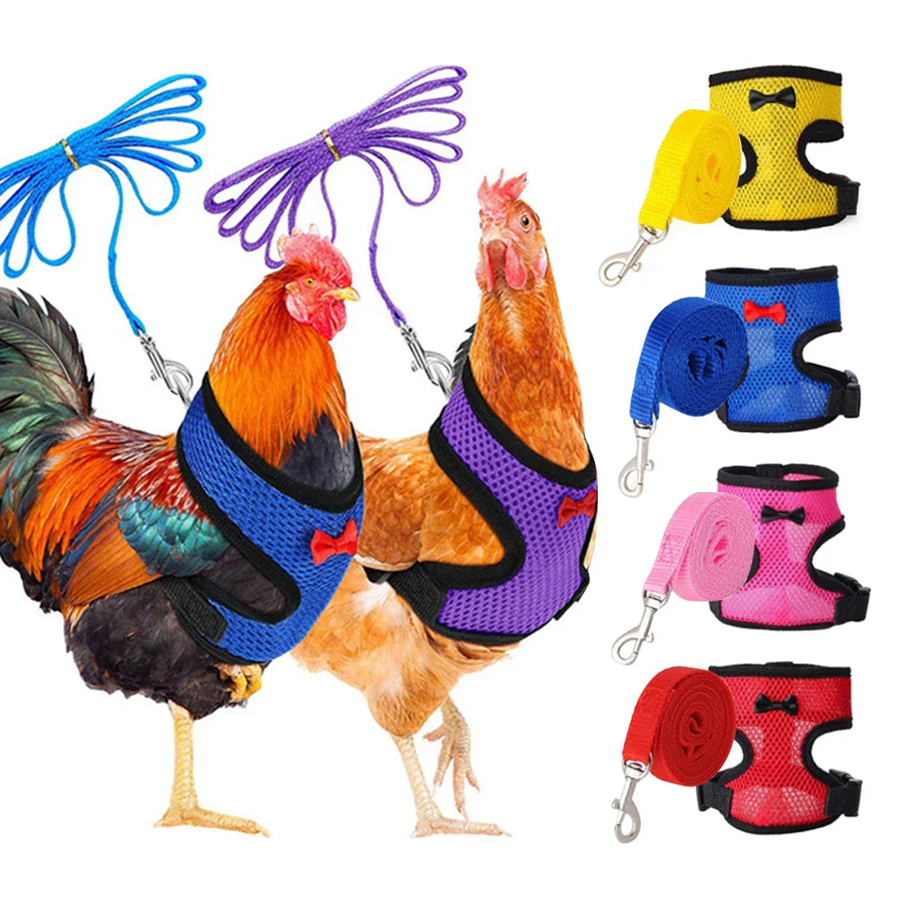 Adjustable Mesh Chicken and Duck Harness Vest with Leash Breathable Poultry Harness XS-XL