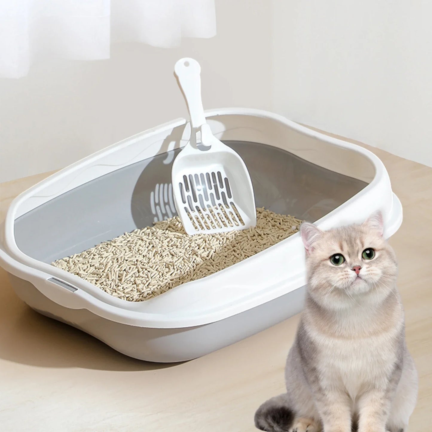 Semi-Enclosed Cat Litter Box – Splash-Proof Anti-Scatter Kitty Toilet, Large (42 x 29 x 12 cm | 16.5 x 11.4 x 4.7 in)