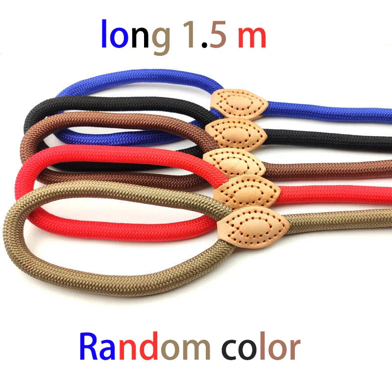 Adjustable Nylon Dog Collar and Harness with Quick-Release Leash, Lightweight Durable Pet Lead for Dogs and Cats