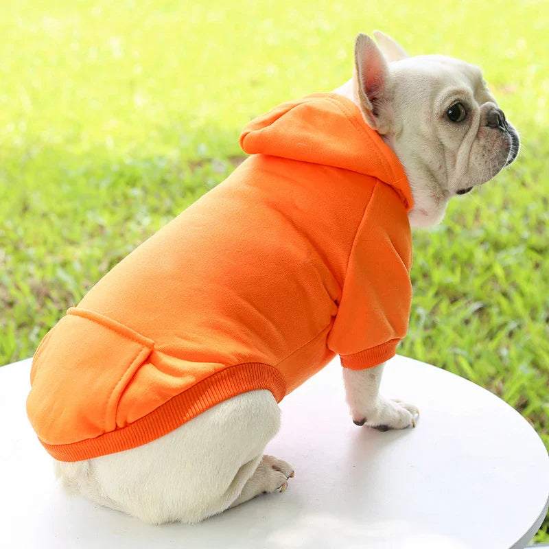 Warm Hooded Dog Sweater for Small Pets – Thick Fleece Autumn Winter Solid Color Pet Hoodie