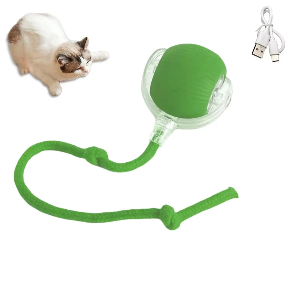 Rechargeable Interactive Rolling Cat Toy with Faux Tail - Motion-Activated Ball for Cats & Small Dogs