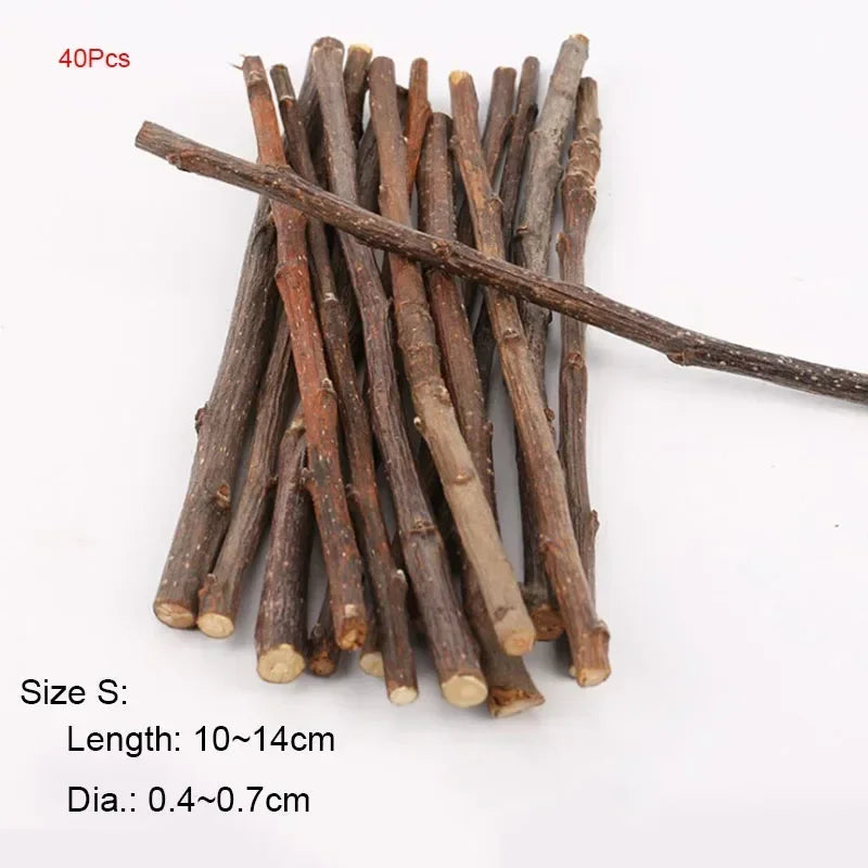 Natural Apple Wood Chew Sticks for Small Pets 5/10/40 Pack - Hamster Rabbit Chinchilla Squirrel Parrot Dental Toy